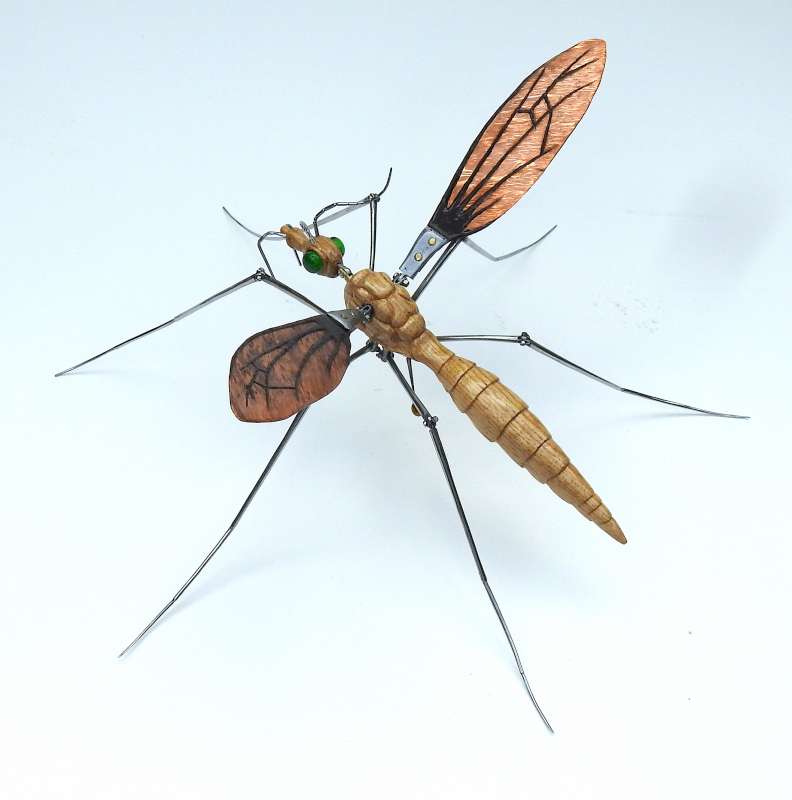 Crane Fly